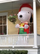 23rd Dec 2018 - Snoopy all decked out for Christmas