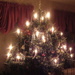 Our Christmas tree by bruni