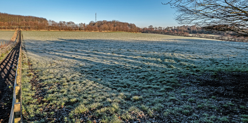 Frosty morning by frequentframes