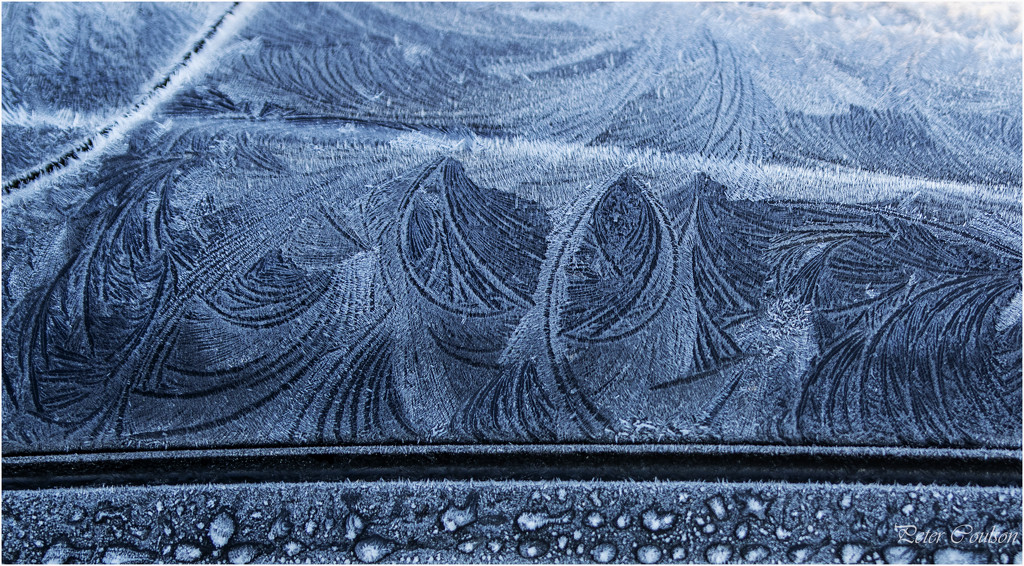 Frost Patterns by pcoulson