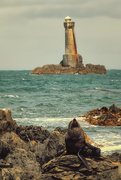 23rd Dec 2018 - Be The Lighthouse