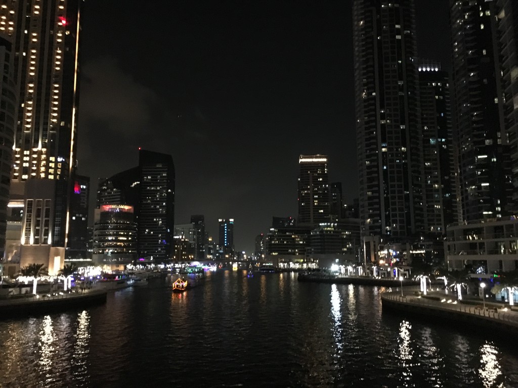 Dubai at Night by wilkinscd
