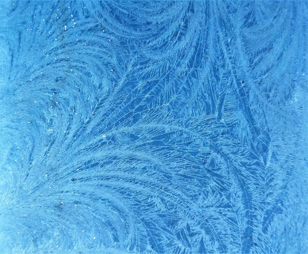 Frost! by bigmxx