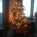 O Christmas Tree by gratitudeyear