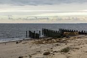 11th Oct 2018 - Delaware Bay