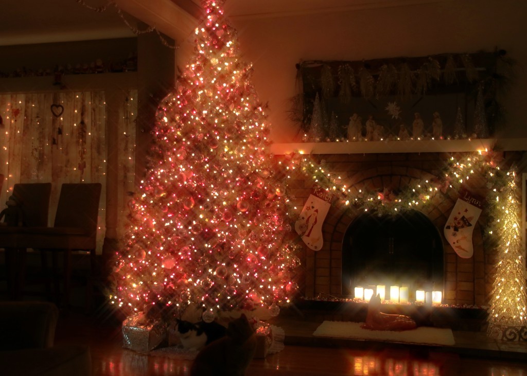 Christmas Eve  Glow by lynnz