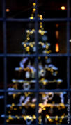 24th Dec 2018 - Christmas tree
