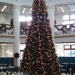 Christmas tree by clairemharvey