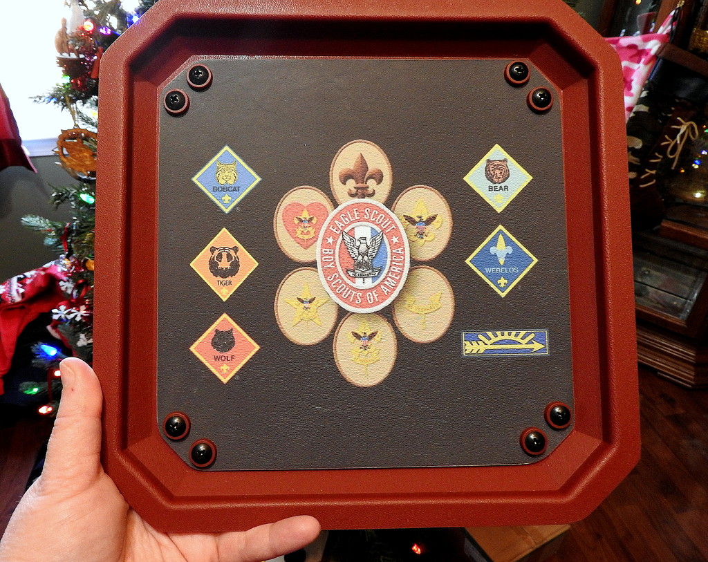 Eagle Scout Trays by homeschoolmom