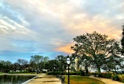 27th Dec 2018 - Colonial Lake Park in Charleston, SC