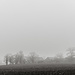 Paimpont 2018: Day 275 - Foggy Farm by vignouse