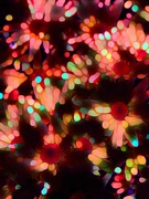 27th Dec 2018 - Just Another Bokeh