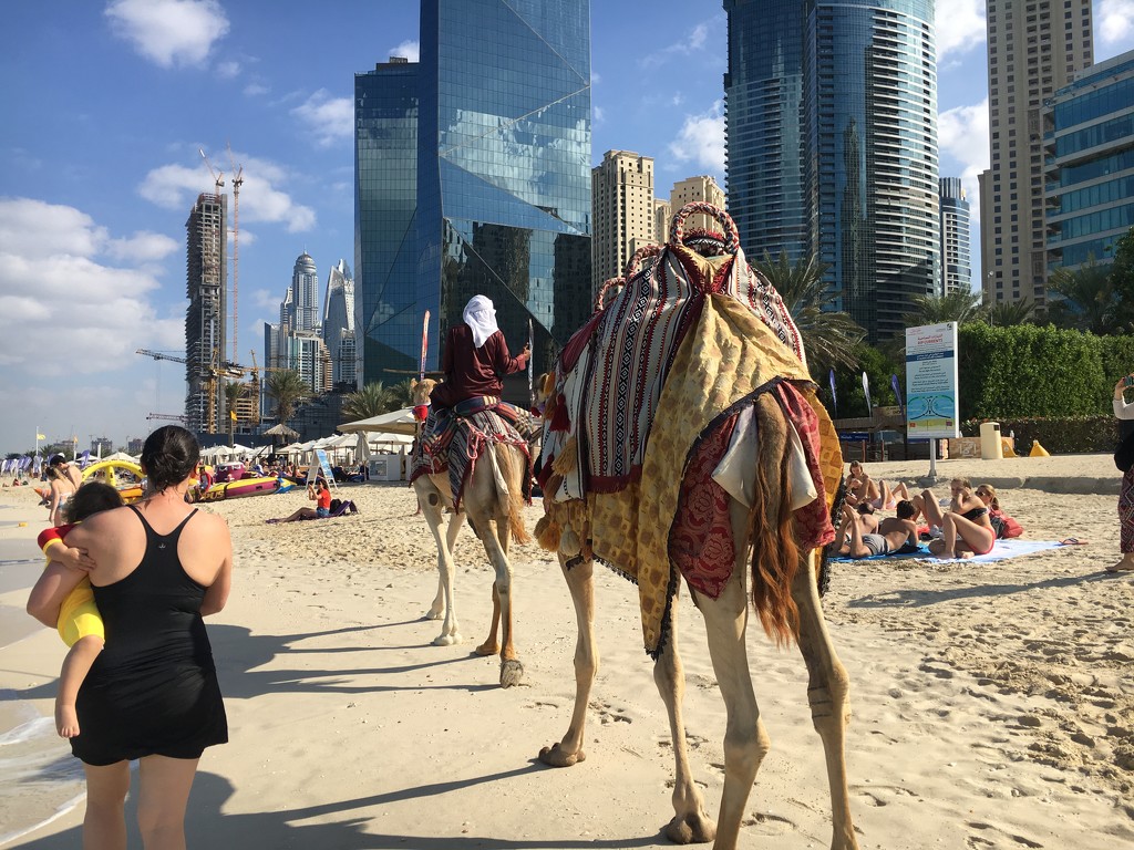 Dubai Beach by wilkinscd