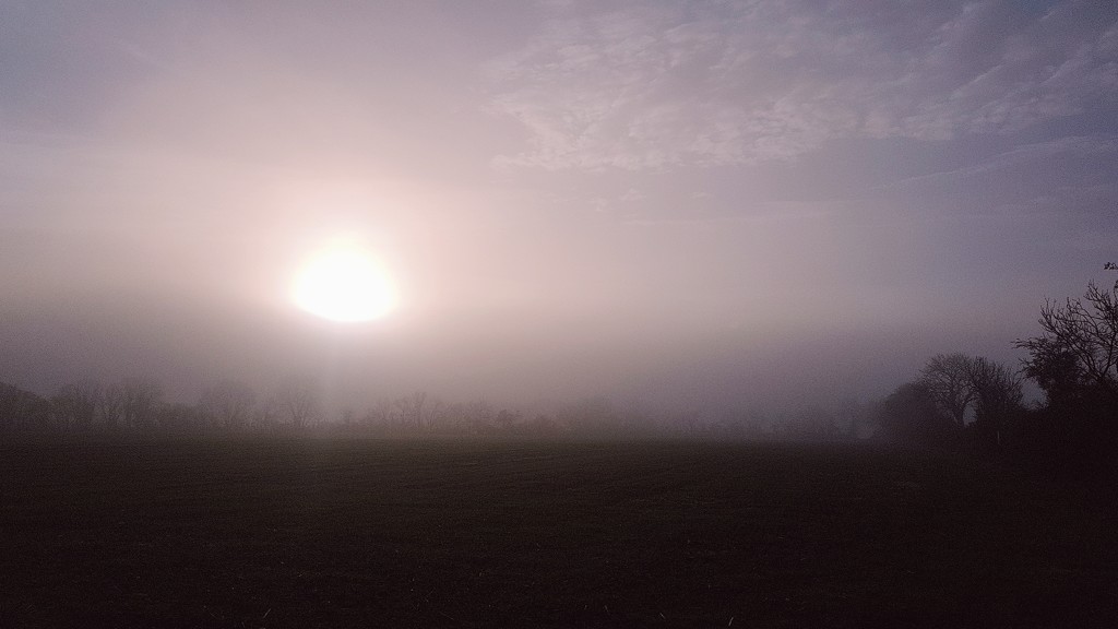 Sun through the mist by julienne1