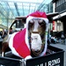 Christmas Bull Dude by filsie65