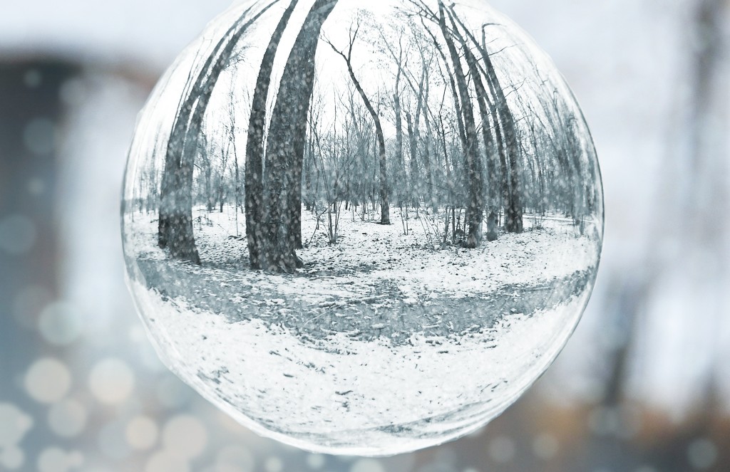 My New Crystal Ball on a Snowy Day by janeandcharlie