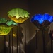 A Day of Chihuly with @Stephomy by jyokota