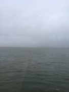 27th Dec 2018 - North Sea through the window of the ferry