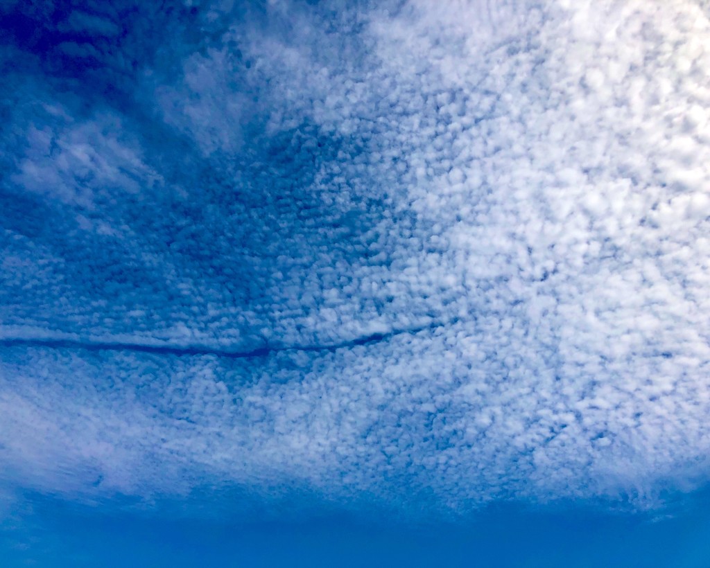 Speckled clouds  by 365projectdrewpdavies