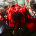 Christmas camera reflections by sugarmuser