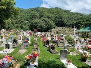 29th Dec 2018 - Seychelles cemetery. 