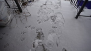 30th Dec 2018 - Snowy Footprints