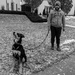 People and their Dogs by tosee