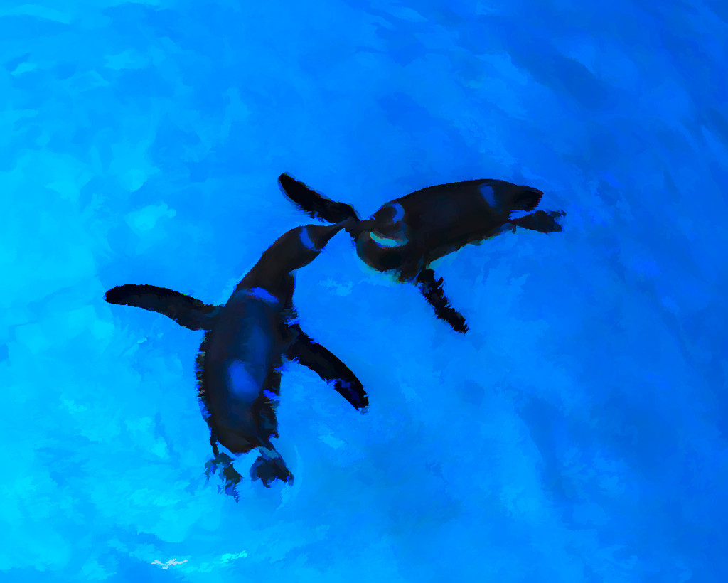 swimming penguins by jernst1779