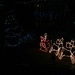 Santas  sleigh by kiwinanna