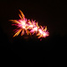 Fireworks by shannejw