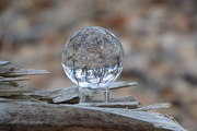 1st Jan 2019 - Another Glass ball Picture