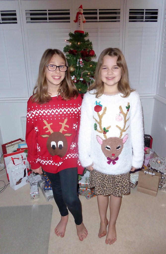  Christmas Jumpers  by susiemc