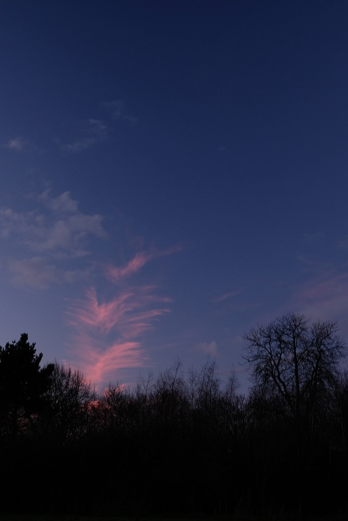 Evening sky by rumpelstiltskin