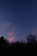1st Jan 2019 - Evening sky