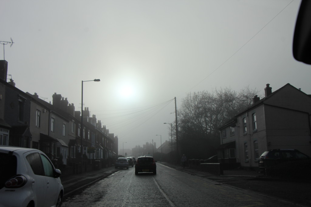 Foggy Morning by daffodill