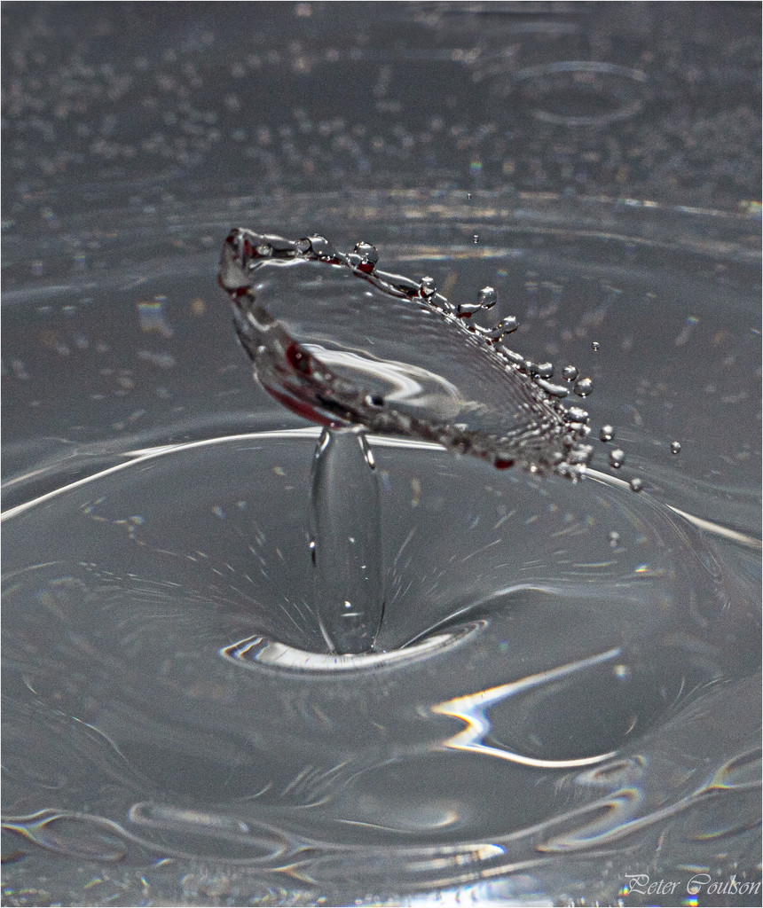 Water Splash by pcoulson
