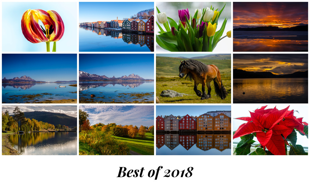Best of 2018 by elisasaeter