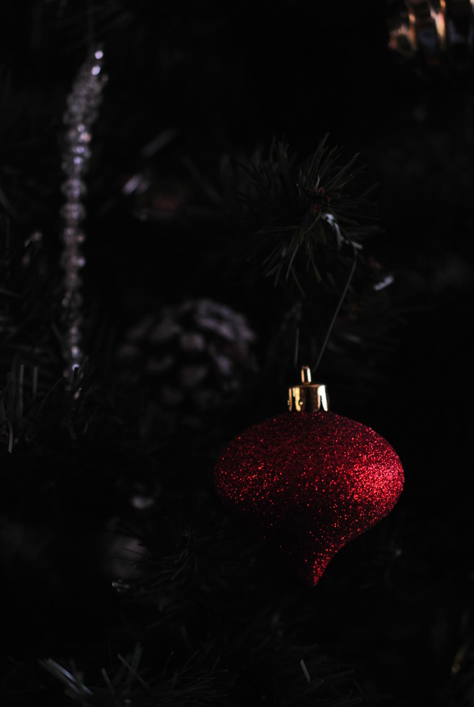 Day 364: Christmas Baubbles by jeanniec57
