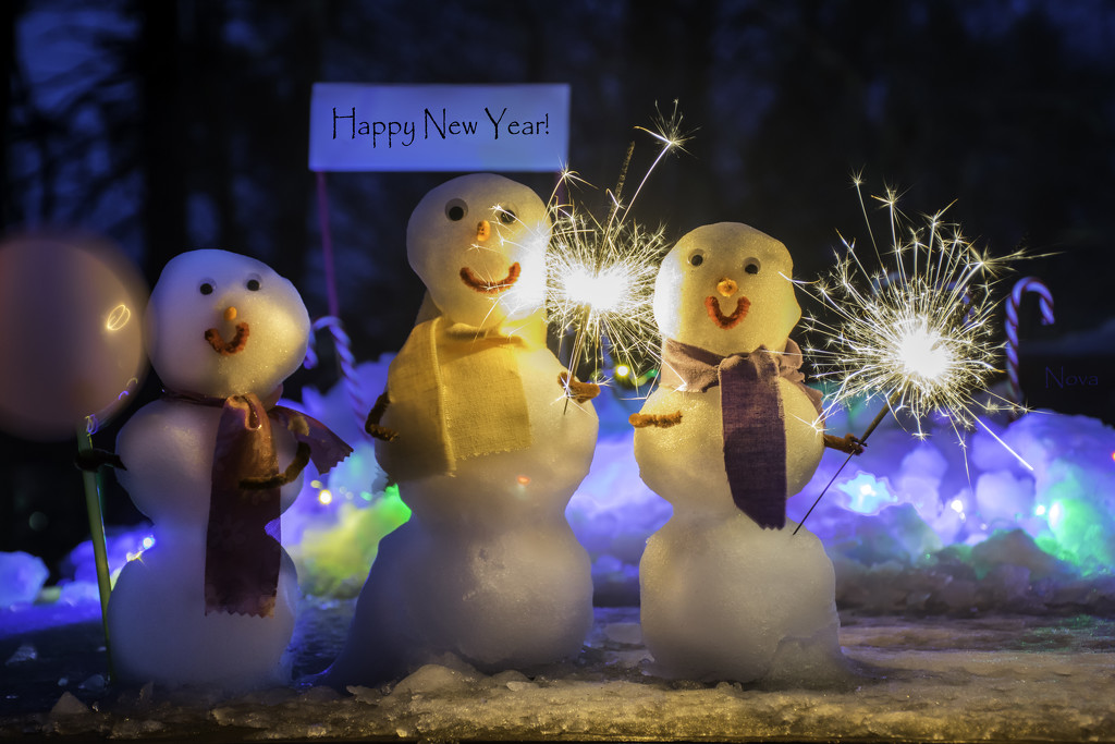 Happy New Year from The Snow Family!  Image #27 by novab