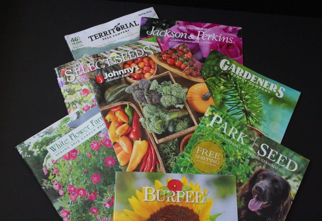 Seed Catalogs Are Arriving In The Mail by paintdipper