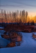 1st Jan 2019 - winter sunset