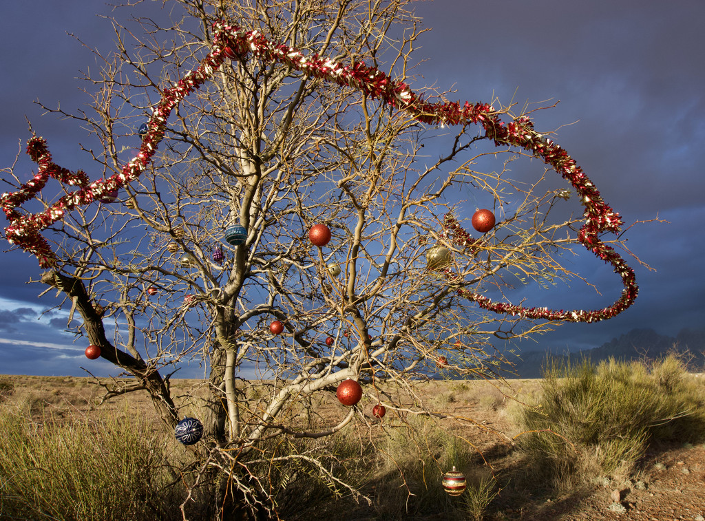 Christmas in New Mexico by eudora