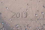 1st Jan 2019 - Happy New Year!