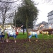If anyone wants to know what happened to the reindeer, they're here in Galway , Ireland.  by chimfa