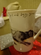 2nd Jan 2019 - dog mug today