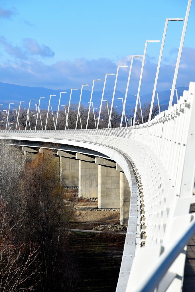 Megyeri Bridge by kork
