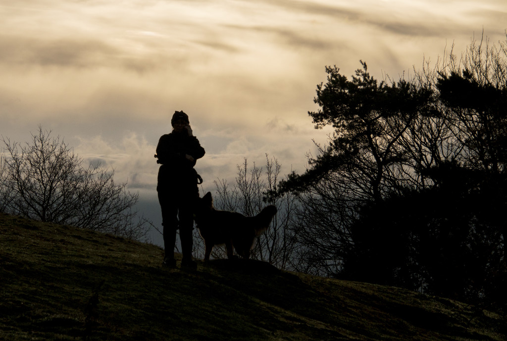 Evening on the Hill by shepherdman