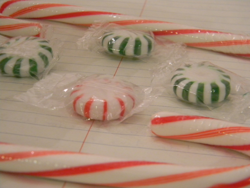 Candy Canes and Peppermints by sfeldphotos