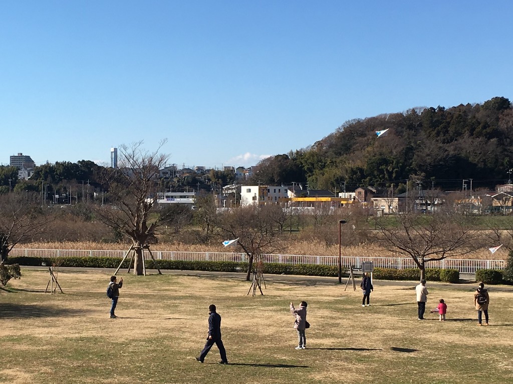 Kites at Hikichigawa Park, 2019-01-04  by cityhillsandsea