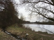 4th Jan 2019 - A walk at a lake